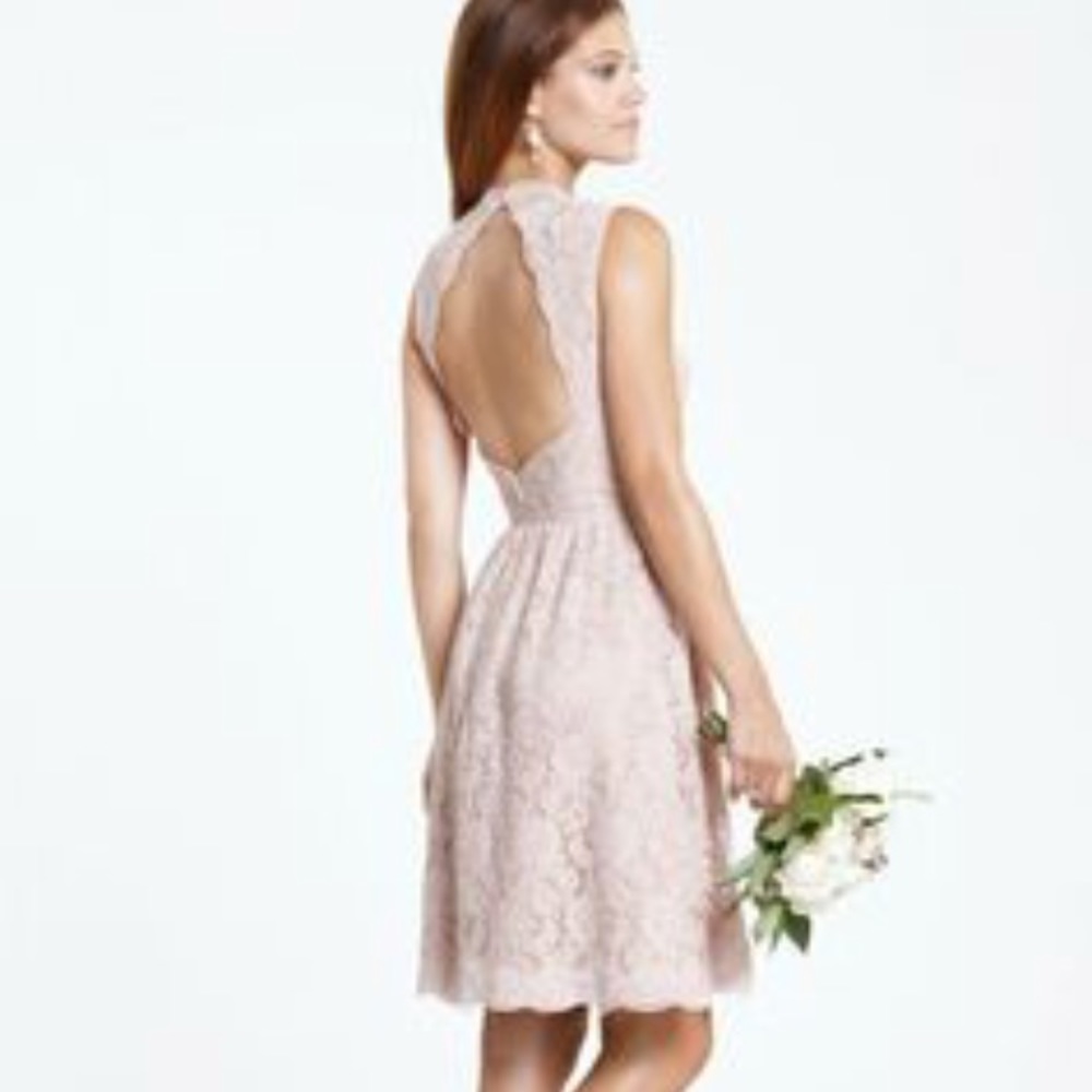 Watters & Watters dusty pink lace bridesmaid dress